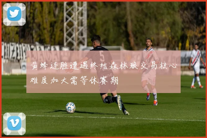 黄蜂连胜遭遇终结森林狼交易核心难度加大需等休赛期