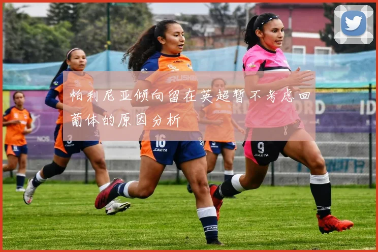 帕利尼亚倾向留在英超暂不考虑回葡体的原因分析